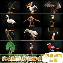 仿真动物模型飞禽鸟类动物鹈鹕老鹰鹦鹉实心玩具摆件