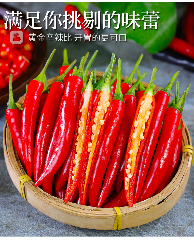 新鲜小米辣泡椒小米椒红辣椒特辣小米辣椒朝天椒菜批发 特辣5斤装
