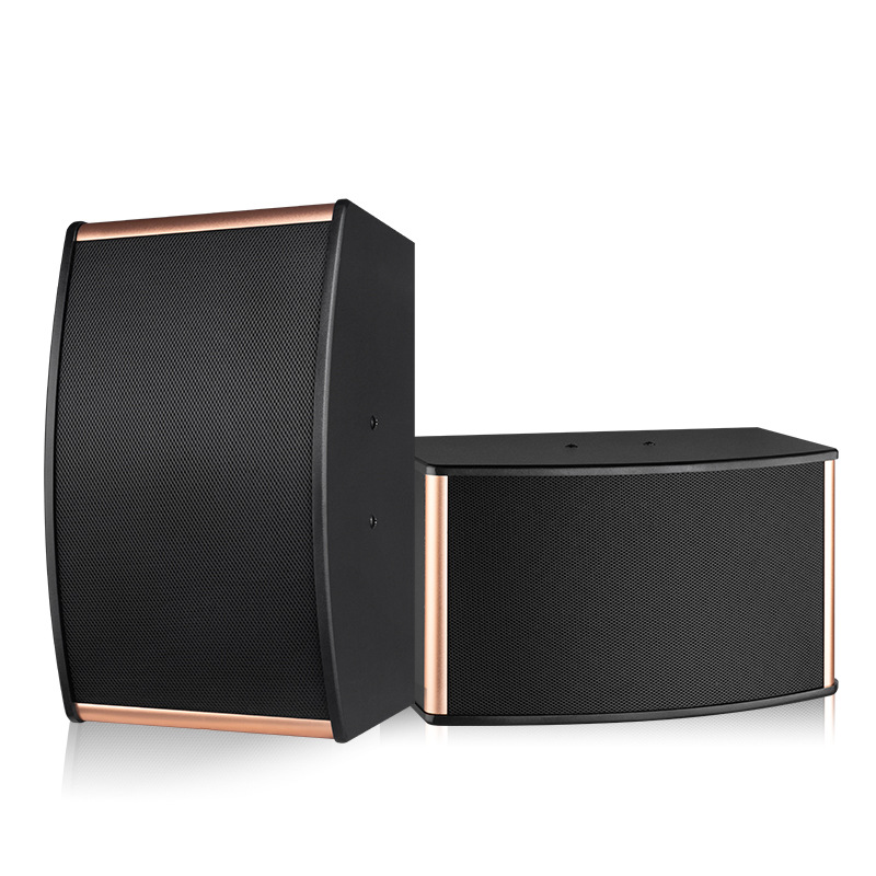 10寸家庭娱乐音响家庭影院卡拉唱歌音响ktv音响会议多功能k歌音箱