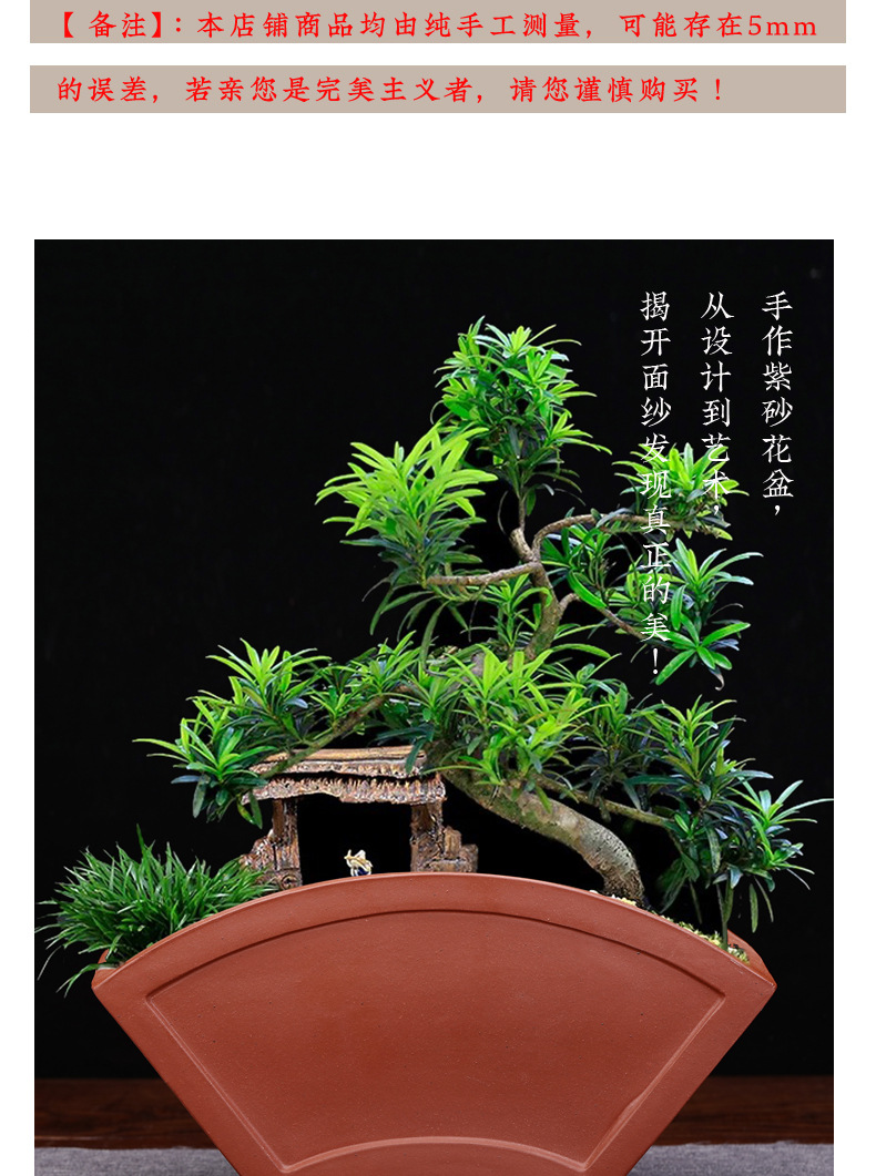 创意陶瓷紫砂兰花盆室内扇形盆景盆多肉菖蒲盆栽桌面花卉厂家批发