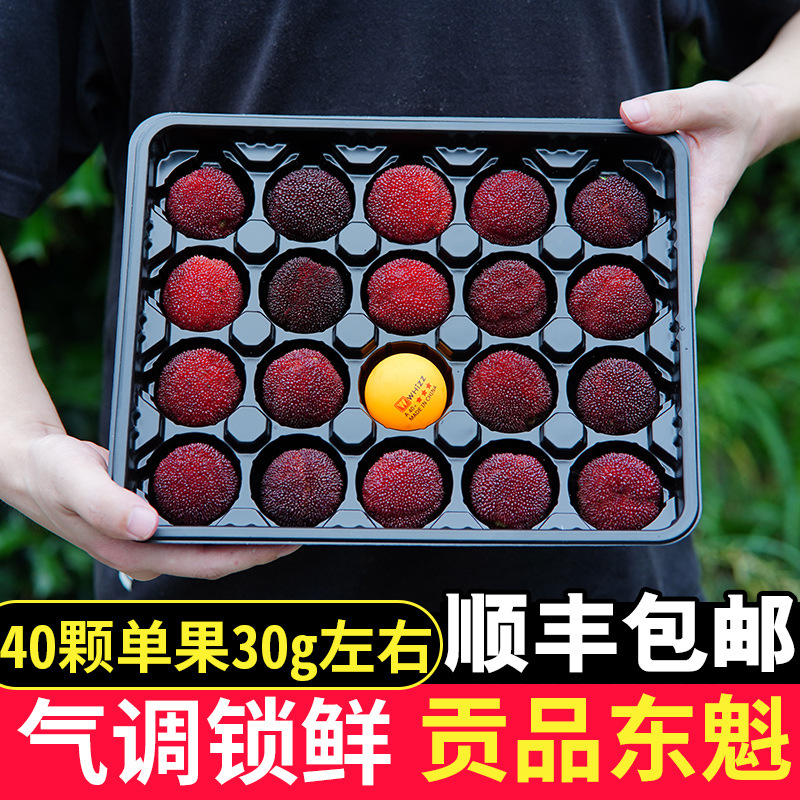 8a浙江仙居东魁杨梅大应季新鲜水果顺丰空运气调礼盒包装40颗粒