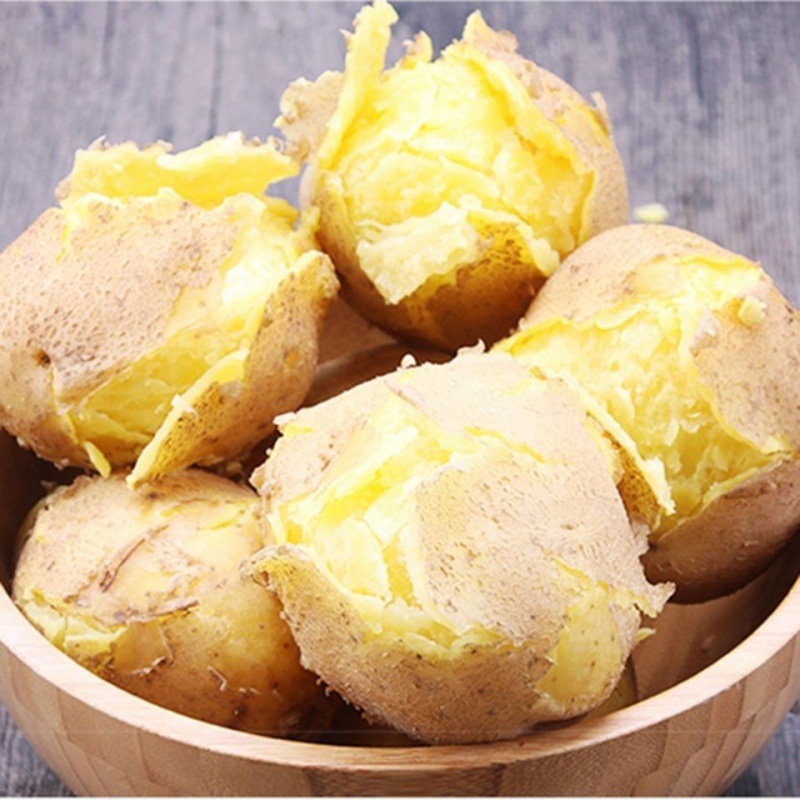 土豆批发甘肃定西特产新鲜土豆农家自种黄心土豆洋芋包邮肃客土豆