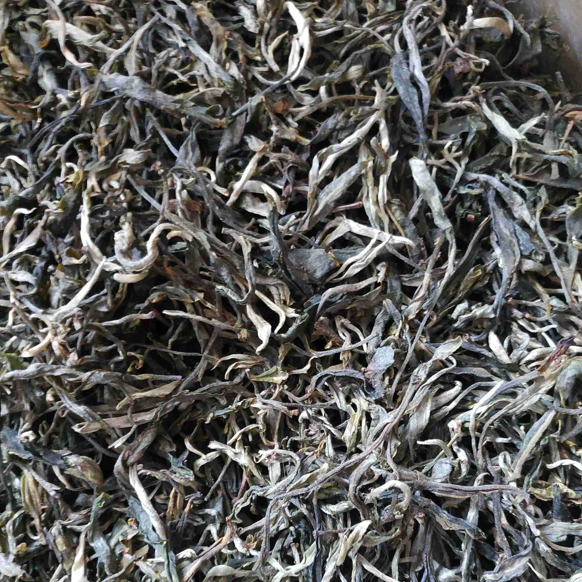 批发2021年云南 澜沧 普洱生茶 景迈山乔木 大树茶 头春 毛料