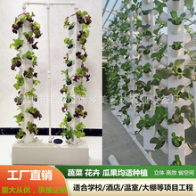 家庭智能立柱式水雾栽培种植自动种菜机水培雾培无土栽培种植设备