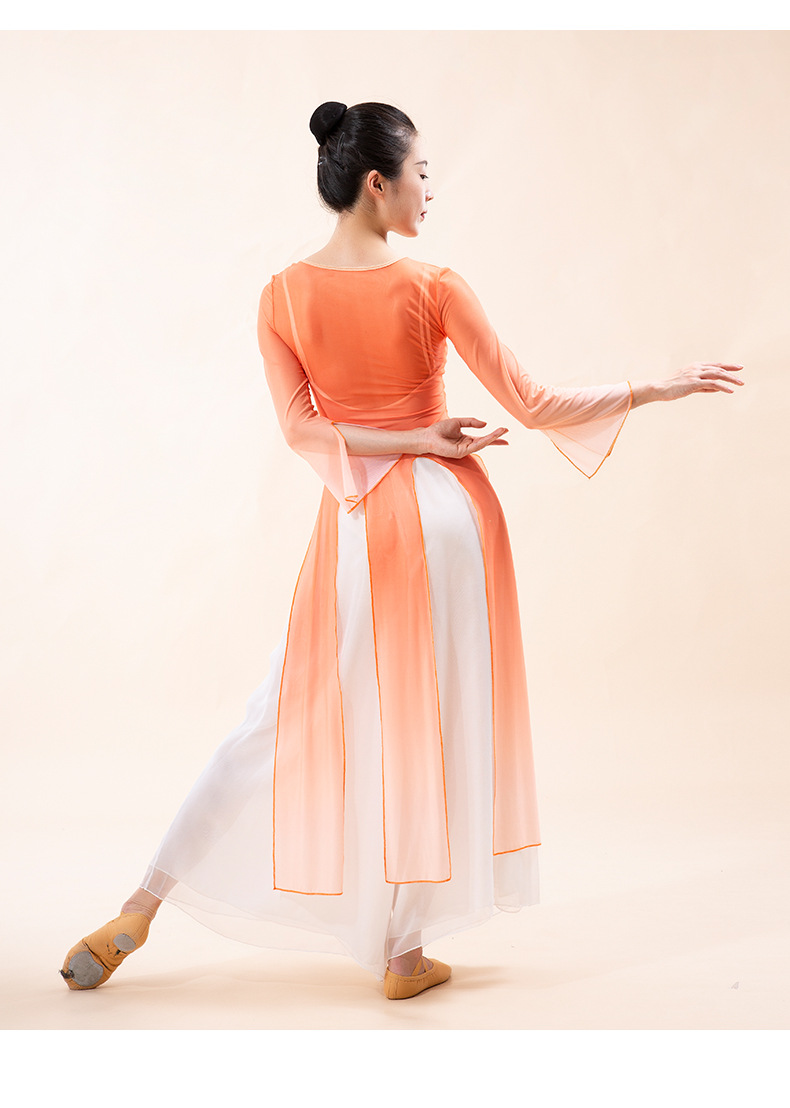 古典舞身韵纱衣舞蹈服装中国现代飘逸形体基训练功演出服连衣裙女