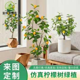仿真柠檬树假绿植商超酒店装饰柠檬果树盆栽塑胶假植物柠檬果树
