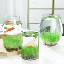 生态瓶diy材料创意小鱼缸玻璃花瓶透明水培植物盆栽水草微景观