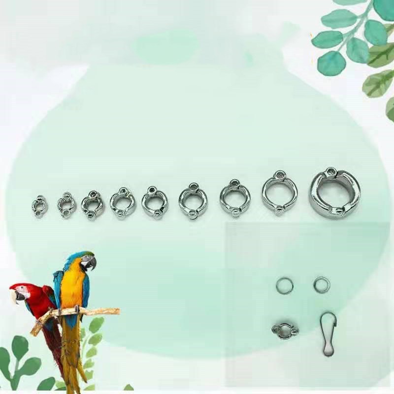 鹦鹉脚环 玄风八哥喜鹊鹦鹉脚环 活动开口脚环 灰鹦鹉不锈钢脚链