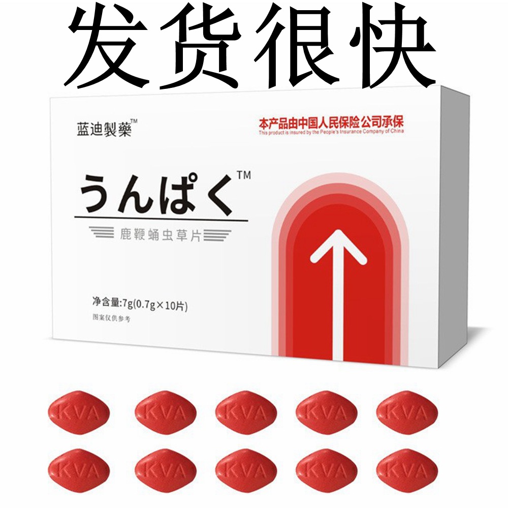 蓝迪製薬鹿鞭蛹虫草片男性口服压片糖果药食同源厂家批发一盒10粒