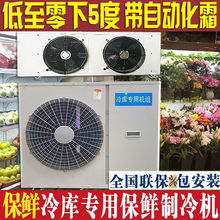 冷库制冷机组一体机3p 4p 5p冷库小型机冷藏蔬菜水果保鲜保鲜冷藏