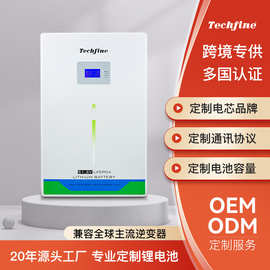 泰琪丰51.2V壁挂式太阳能发电光伏家庭储能大容量磷酸铁锂电池