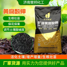 植物生长调节剂矿源黄腐酸钾 生物肥料土壤活化宝 量大从优
