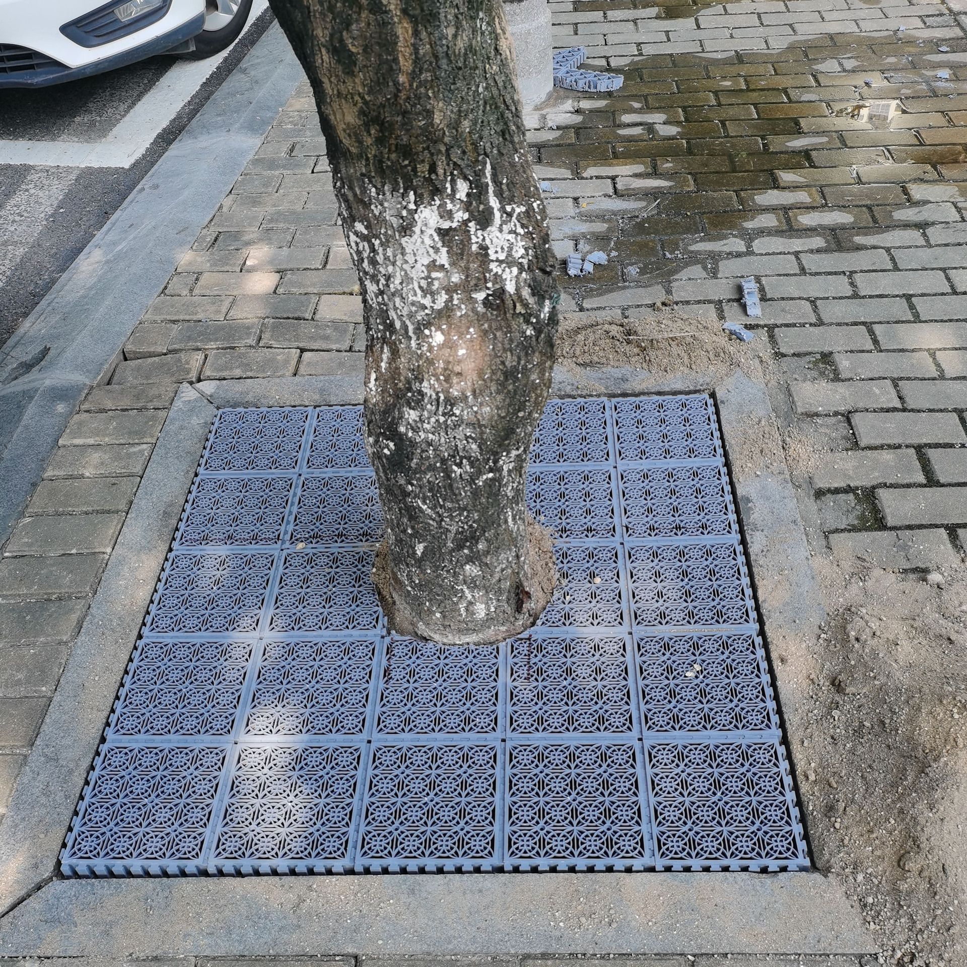 绿化塑料树篦子护树板拼接树围子树坑盖板新型树池格栅树穴格板