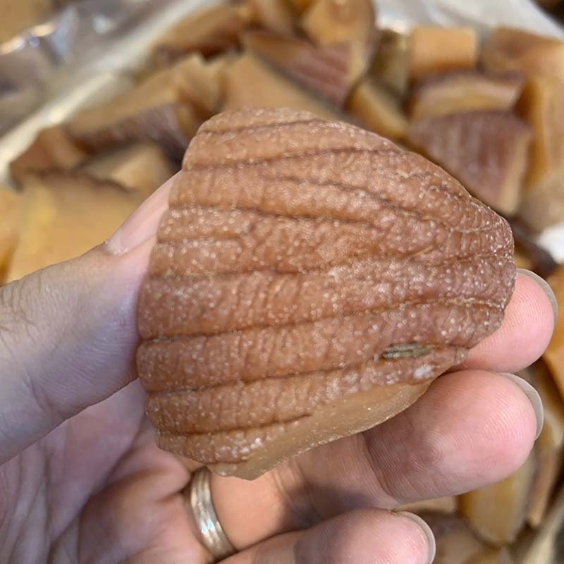 一德路批发螺片螺肉香螺响螺肉 足干精品 鲍螺海鲜干货响螺片代发