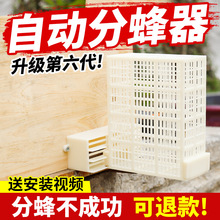 第六代自动分蜂器中蜂蜂箱专用过滤器新款防逃框蜜蜂箱除雄蜂收王