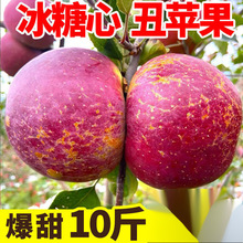 红富士冰糖心新鲜苹水果应季整箱脆甜批发红富士5/3/10斤一件代发