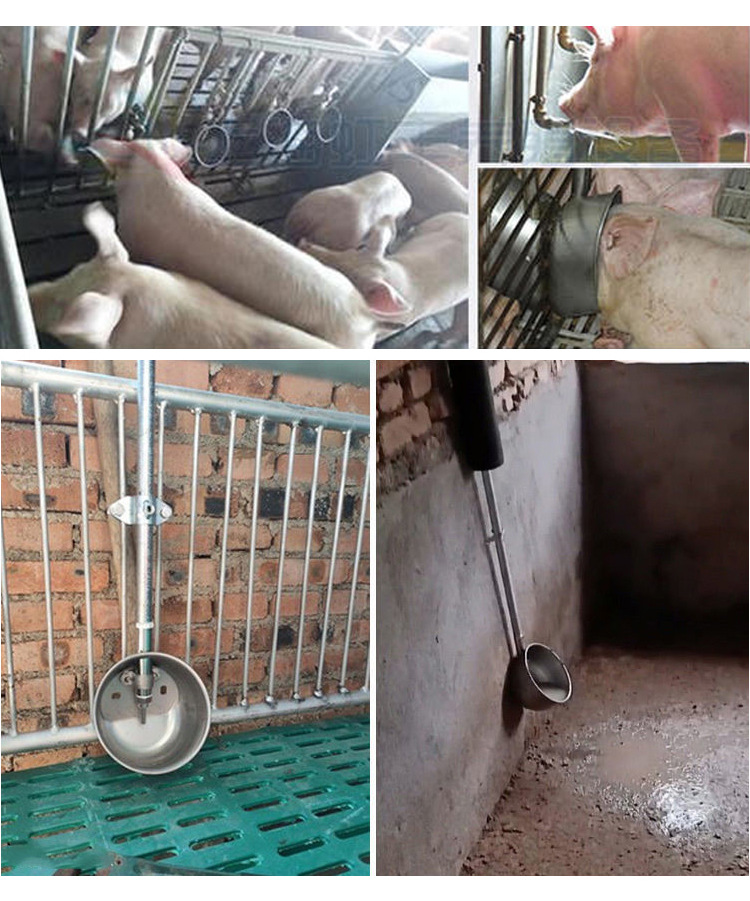 圆形不锈钢猪用饮水碗小猪母猪碗式加厚饮水器养殖设备仔猪喝水嘴