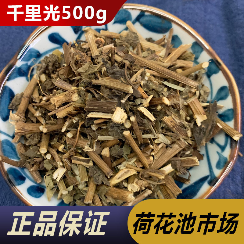 千里光500克 中药材中草药小孩洗澡泡澡九里光 一扫光 黄花母