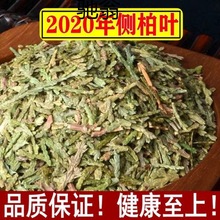 cAm野生侧柏叶侧柏叶粉洗发生发增发苦丁桑叶乌发防脱500g10