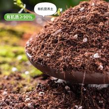 通用型花土种花家用营养土盆栽多肉土壤养花种菜专用种植有机土