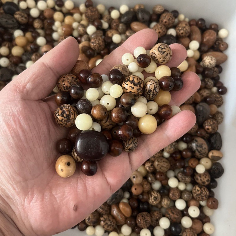 菩提子散珠多种凤眼龙眼木鱼果菩提根木患子金猪金刚密瓜宝瓶有孔