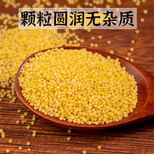 食光行动有机小米杂粮食用黄小米粥小黄米东北朝阳新米粮食糯小米