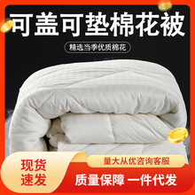 棉花被芯被褥临时盖被加厚保暖单人床垫被胎宿舍学生纯棉便宜被。