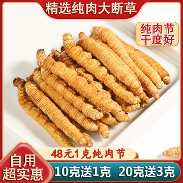 高海拔野生冬虫夏草正品西藏纯肉大断草天然生长干货西藏特产1克