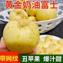 【新品种】黄金奶油富士苹果丑苹果脆甜多汁当季新鲜水果整箱包邮