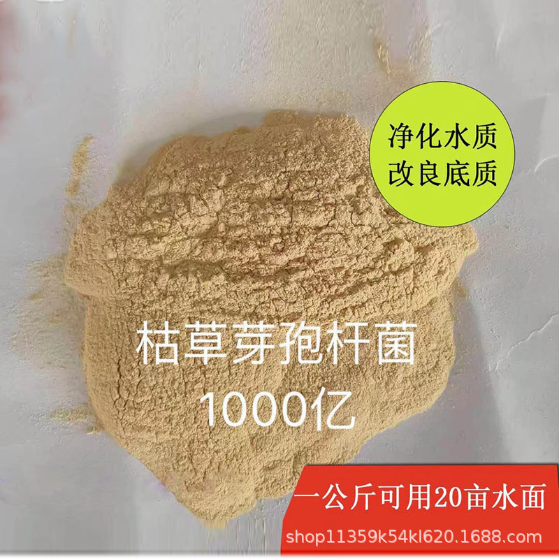 现货兽用枯草芽孢杆菌1000亿 水产养殖微生物菌剂养殖调水专用菌