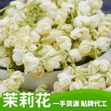 金之粟广西横县茉莉花茶厂家批发花草茶源头厂家茉莉花干散装直销