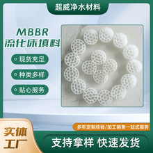 批发MBBR流化床填料悬浮易挂膜水处理填料污水处理MBBR过滤材料