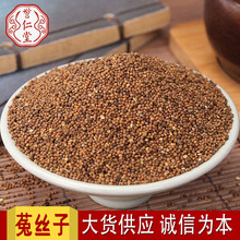 野生菟丝子500g克内蒙兔丝子泡水菟丝子泡茶中药材另售韭菜籽枸杞