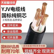 充电桩专用YJV6.10平方2芯3芯纯铜电缆线新能源充电电缆
