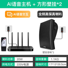 先科K1-AI壁挂音响店铺商用挂墙天花吊顶吸顶嵌入式无线家用蓝牙