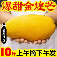 云南大青芒芒果9斤新鲜水果热带当季整箱青皮黄皮金煌芒辣椒生芒