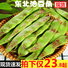 东北油豆角现摘新鲜蔬菜5斤一点红油豆角九月青黑龙江整箱包邮