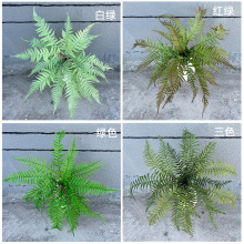 批发造景装饰蕨草绿化工程软装饰波斯草人工手感波斯叶蕨类植物