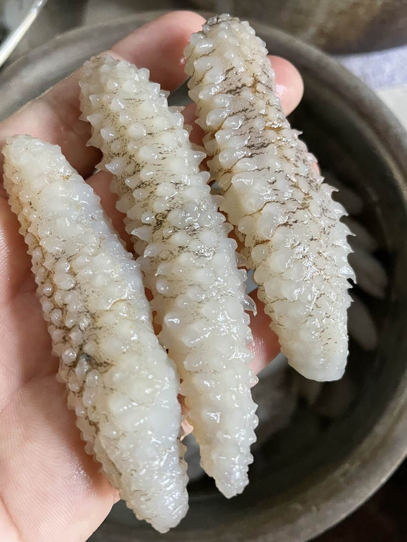 批发海参干货深海小海参白玉参小刺王500g可做即食海参罐头210头