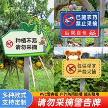 已施禁止采摘警示牌园林花园爱护花草标语提示牌果园菜地