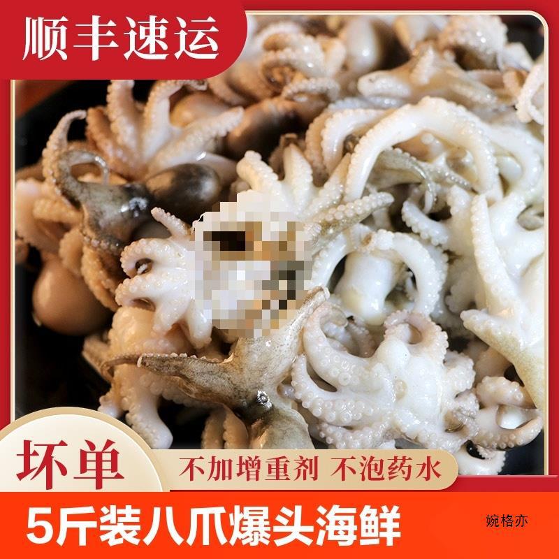 5斤装八爪鱼爆头海鲜小章鱼冷冻章鱼火锅食材小八爪新鲜水产