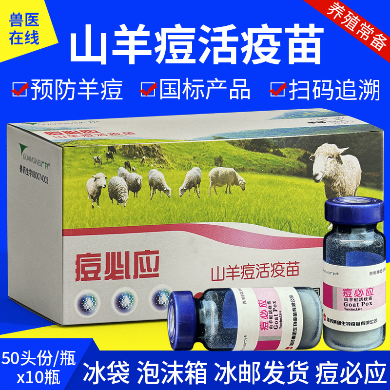 哈药羊用痘必应疫苗 小反刍羊痘疫苗 接种山羊痘牛痘牛结节性皮炎