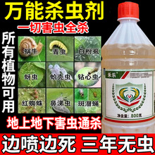 万能杀虫剂虫全杀蔬菜青虫果树蚜虫高效氯氟氰菊酯土壤农药杀虫剂