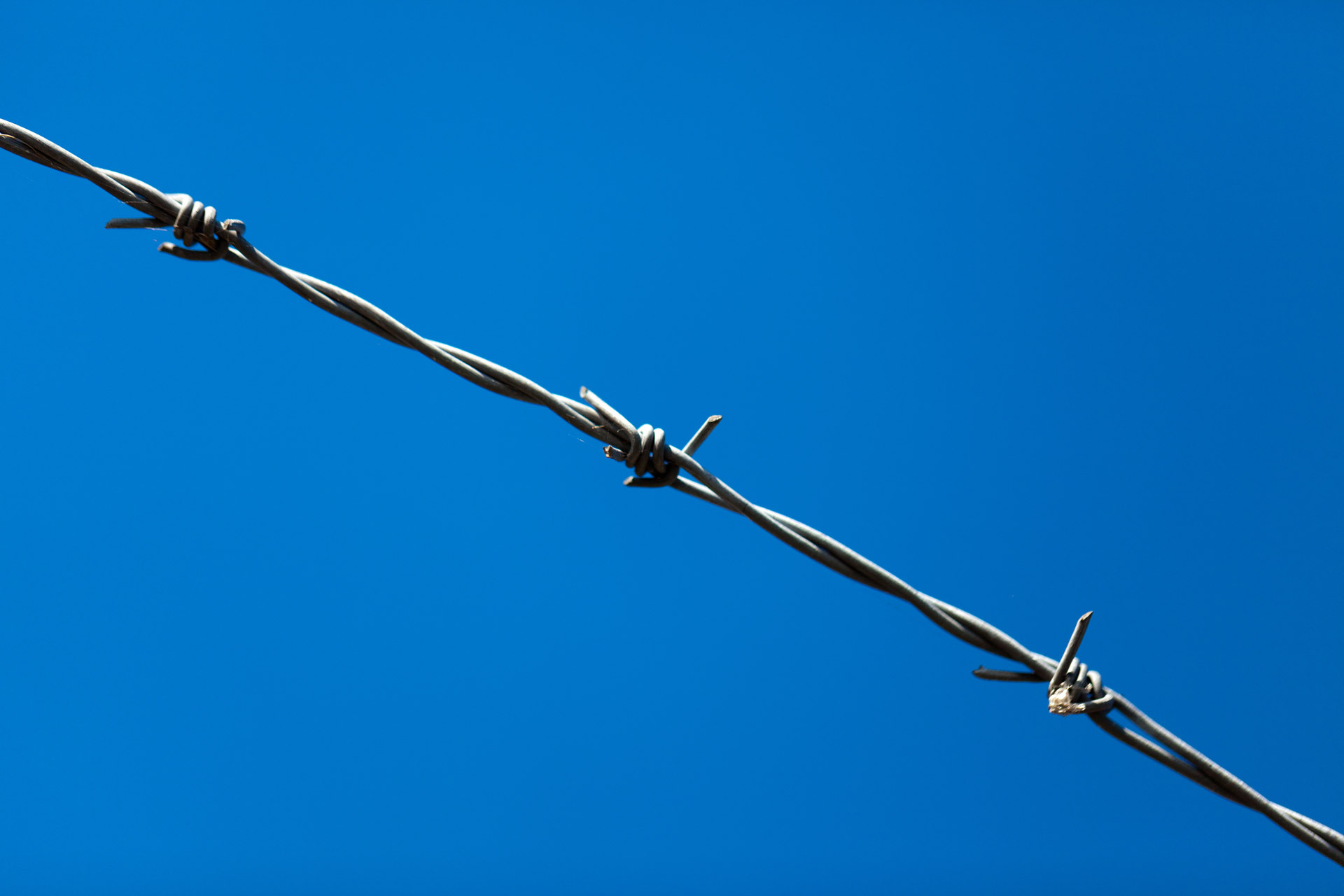 热镀锌刀片刺线304不锈钢刀片刺网刺线刺铁丝现货厂家