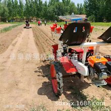 新星秧苗移栽机 蔬菜西瓜辣椒移苗机 乘坐式幼苗种植机