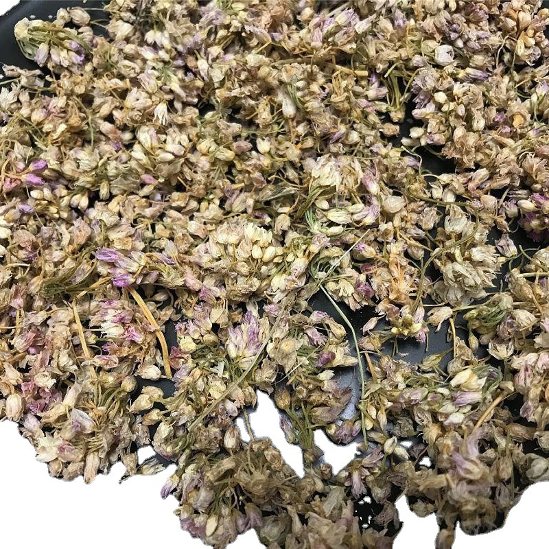 年野山葱花麻麻花干野韭菜花野生摘麻花干扎蒙花饭店调料炝锅