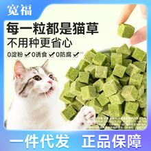 冻干猫草粒宠物猫零食猫草磨牙棒猫咪去毛球猫草温和排毛猫草批发