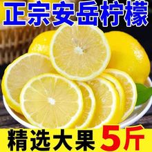 四川安岳柠檬黄新鲜水果奶茶饮品酒店专用黄柠檬批发3斤5斤9斤