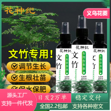 免稀释文竹专用肥营养液家用盆栽养花植物通用液体肥水土培花肥料