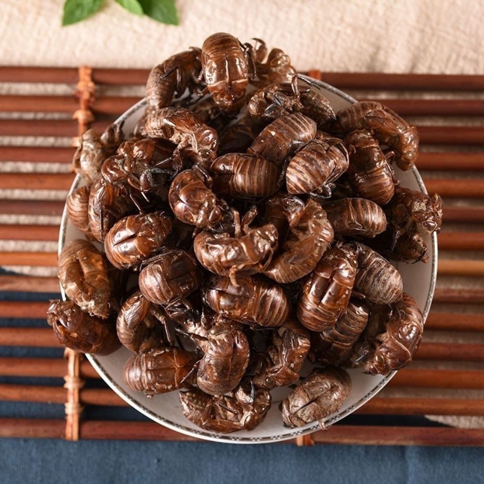 知了壳蝉蜕1斤500g蝉脱金蝉衣金蝉壳蝉皮蝉知了皮知了壳批发真货